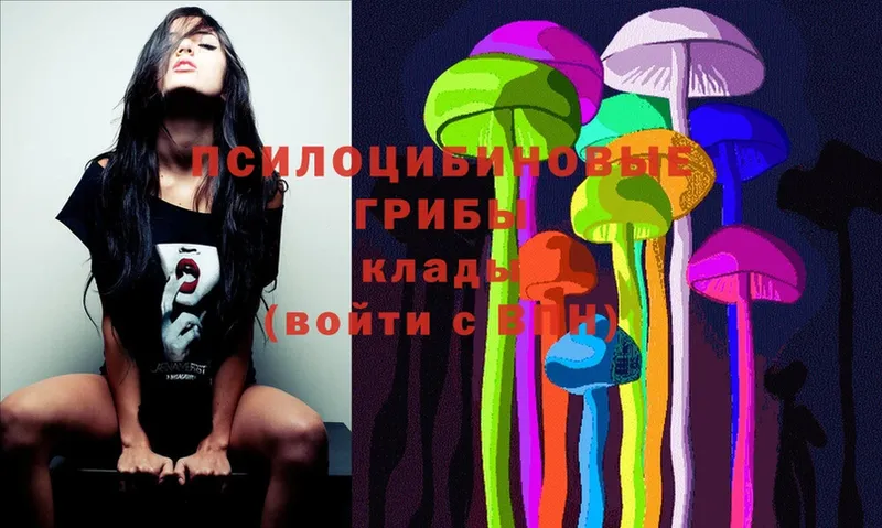 кракен сайт  Омутнинск  Галлюциногенные грибы Psilocybe 